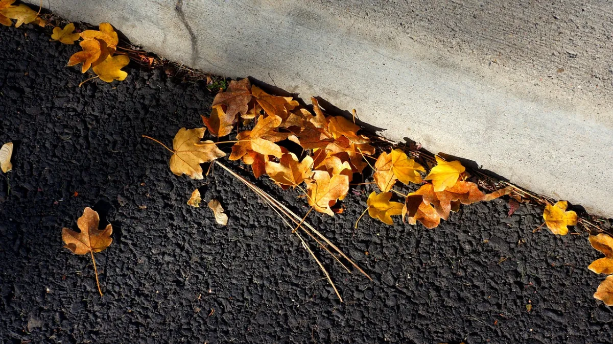 Maintaining Your Asphalt Driveway